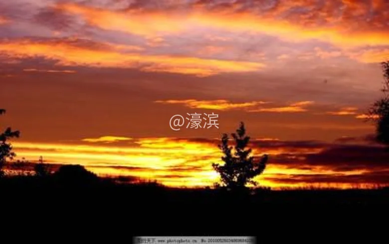 t017ebe24667a76acd8.jpg